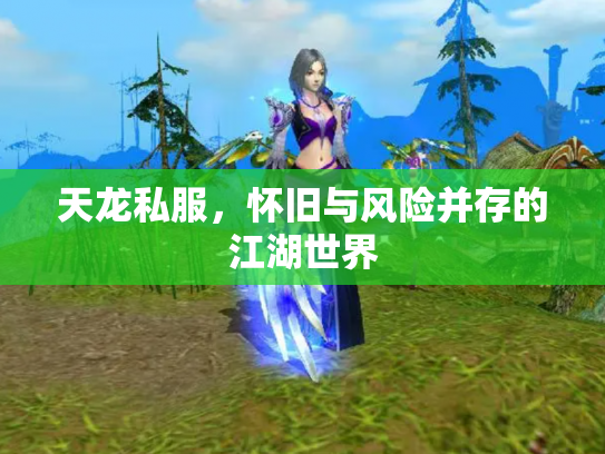 天龙私服，怀旧与风险并存的江湖世界