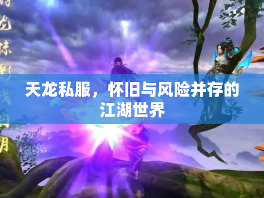 天龙私服，怀旧与风险并存的江湖世界