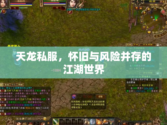 天龙私服，怀旧与风险并存的江湖世界