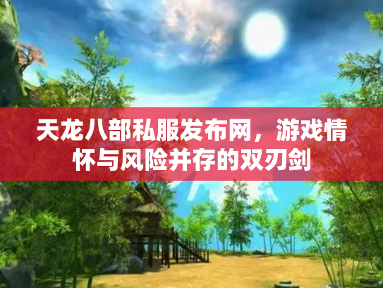 天龙八部私服发布网，游戏情怀与风险并存的双刃剑