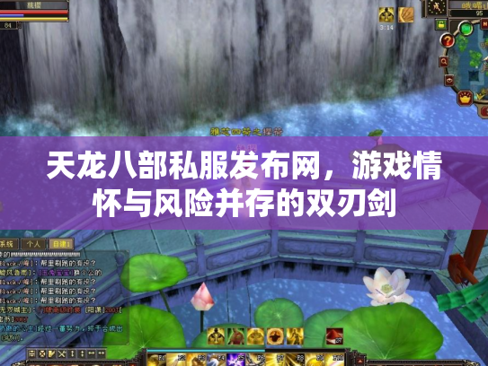 天龙八部私服发布网，游戏情怀与风险并存的双刃剑