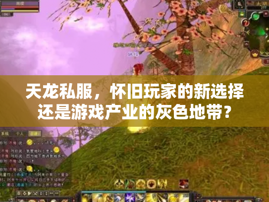 天龙私服，怀旧玩家的新选择还是游戏产业的灰色地带？
