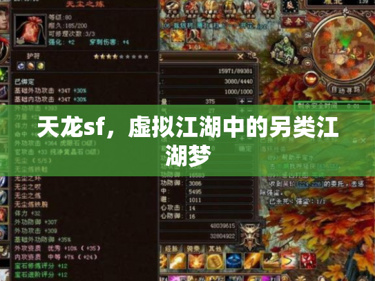 天龙sf，虚拟江湖中的另类江湖梦
