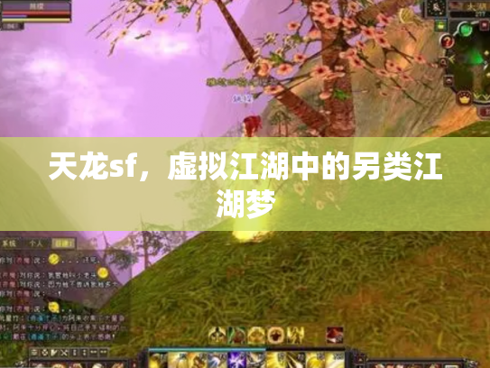 天龙sf，虚拟江湖中的另类江湖梦