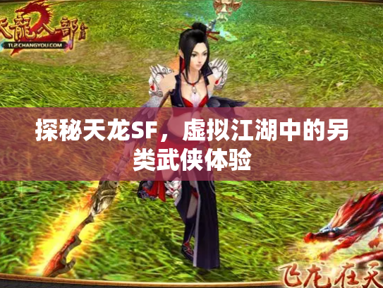 探秘天龙SF，虚拟江湖中的另类武侠体验