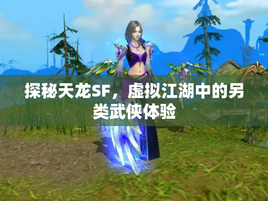 探秘天龙SF，虚拟江湖中的另类武侠体验