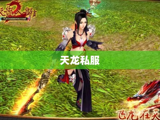 天龙私服