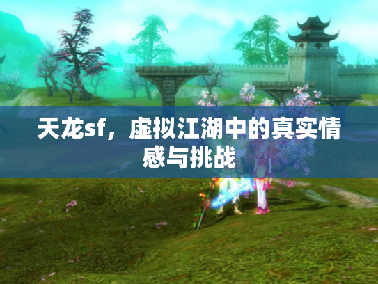 天龙sf，虚拟江湖中的真实情感与挑战