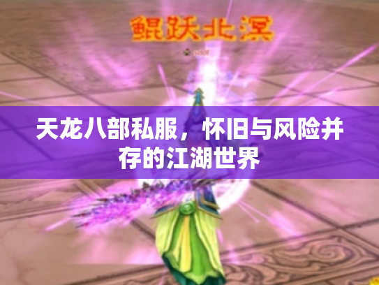 天龙八部私服，怀旧与风险并存的江湖世界