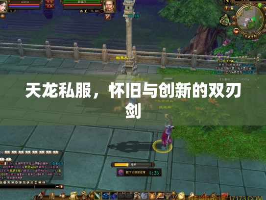 天龙私服，怀旧与创新的双刃剑