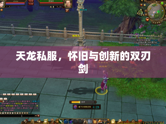天龙私服，怀旧与创新的双刃剑