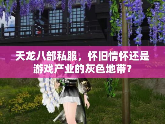 天龙八部私服，怀旧情怀还是游戏产业的灰色地带？