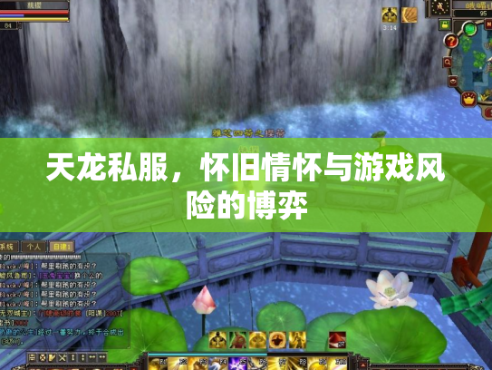 天龙私服，怀旧情怀与游戏风险的博弈