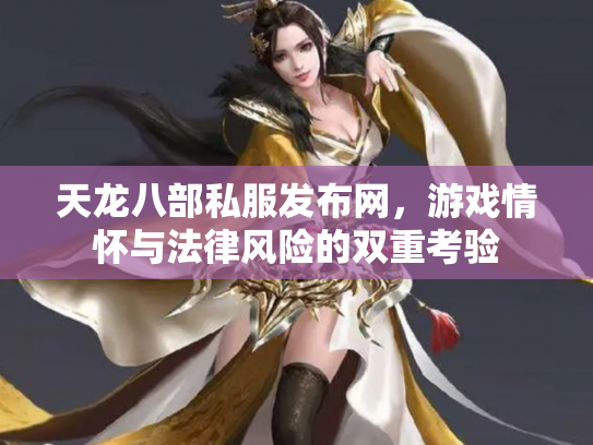 天龙八部私服发布网，游戏情怀与法律风险的双重考验