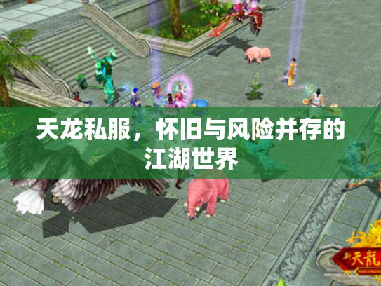 天龙私服，怀旧与风险并存的江湖世界