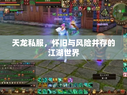 天龙私服，怀旧与风险并存的江湖世界