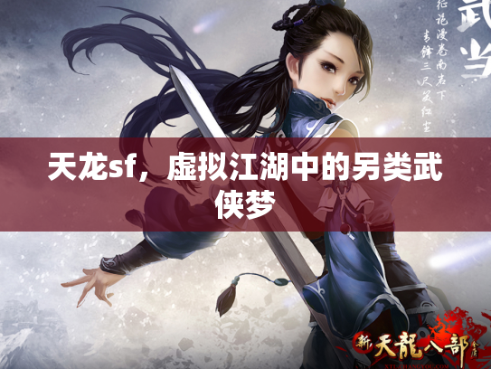 天龙sf，虚拟江湖中的另类武侠梦