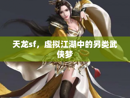天龙sf，虚拟江湖中的另类武侠梦