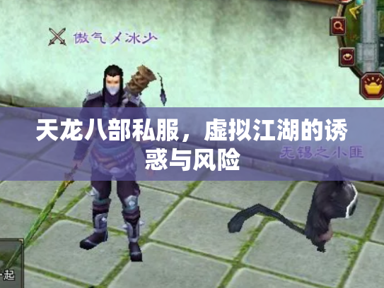 天龙八部私服，虚拟江湖的诱惑与风险