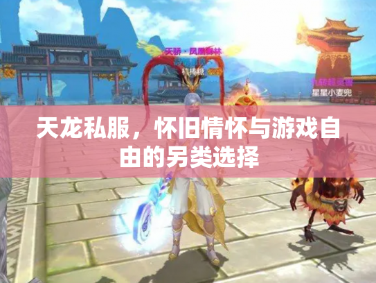 天龙私服，怀旧情怀与游戏自由的另类选择