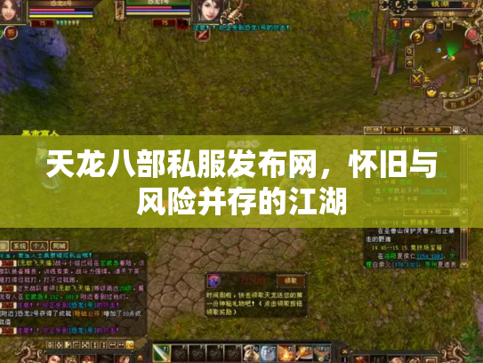 天龙八部私服发布网，怀旧与风险并存的江湖