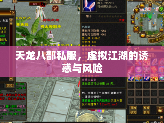 天龙八部私服，虚拟江湖的诱惑与风险