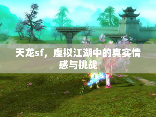 天龙sf，虚拟江湖中的真实情感与挑战