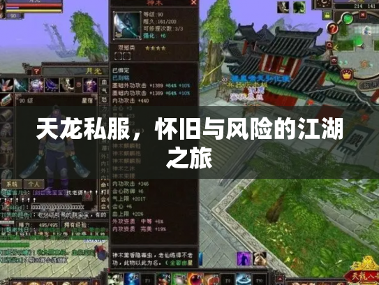 天龙私服，怀旧与风险的江湖之旅