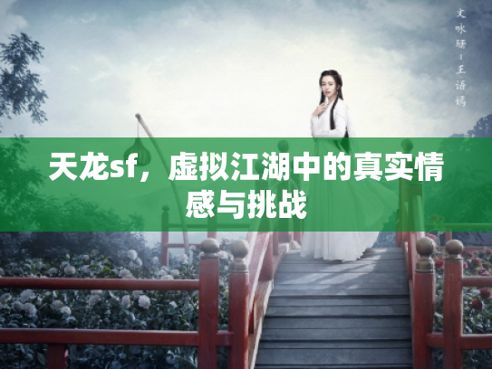 天龙sf，虚拟江湖中的真实情感与挑战
