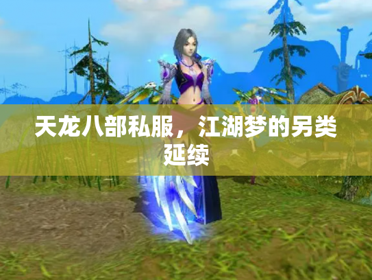 天龙八部私服，江湖梦的另类延续