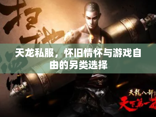 天龙私服，怀旧情怀与游戏自由的另类选择