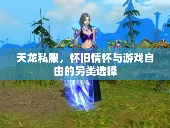 天龙私服，怀旧情怀与游戏自由的另类选择