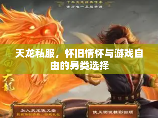 天龙私服，怀旧情怀与游戏自由的另类选择