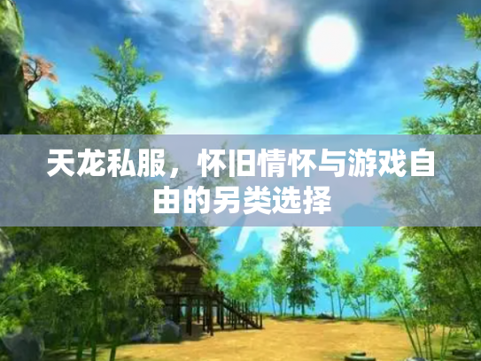 天龙私服，怀旧情怀与游戏自由的另类选择