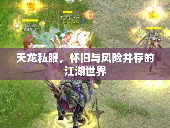 天龙私服，怀旧与风险并存的江湖世界