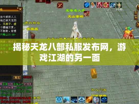 揭秘天龙八部私服发布网，游戏江湖的另一面