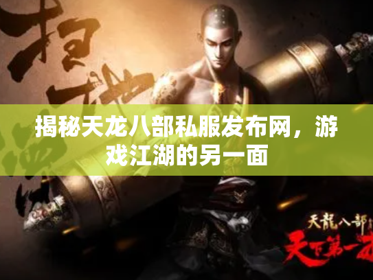 揭秘天龙八部私服发布网，游戏江湖的另一面