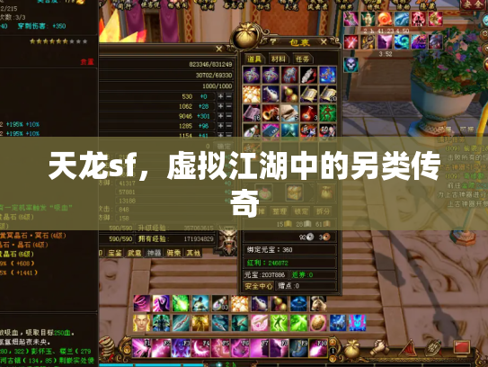 天龙sf，虚拟江湖中的另类传奇