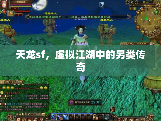 天龙sf，虚拟江湖中的另类传奇