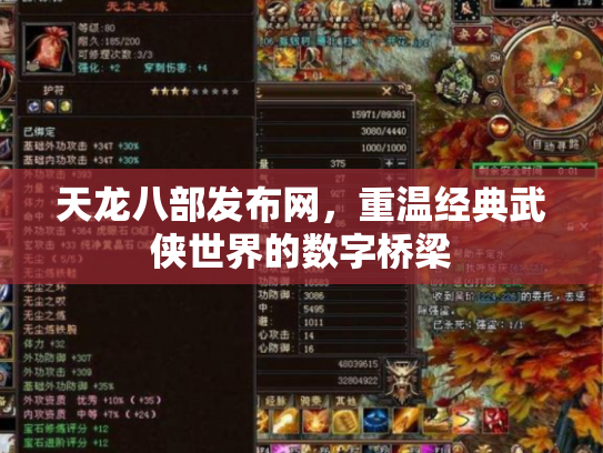 天龙八部发布网，重温经典武侠世界的数字桥梁