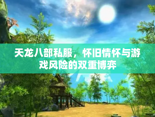 天龙八部私服，怀旧情怀与游戏风险的双重博弈