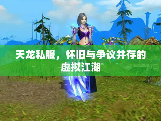 天龙私服，怀旧与争议并存的虚拟江湖