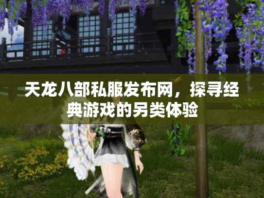 天龙八部私服发布网，探寻经典游戏的另类体验