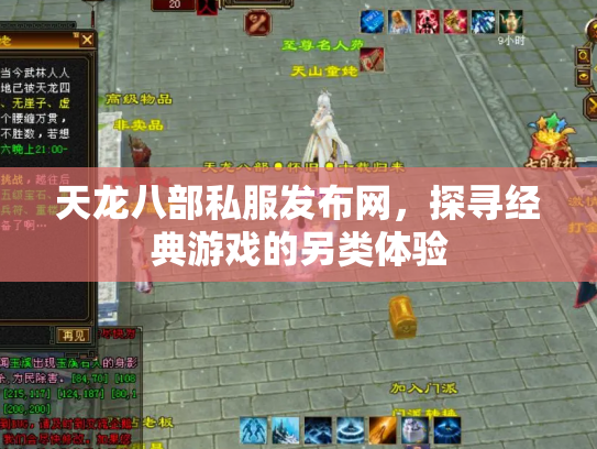 天龙八部私服发布网，探寻经典游戏的另类体验
