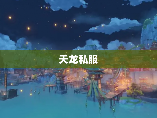 天龙私服