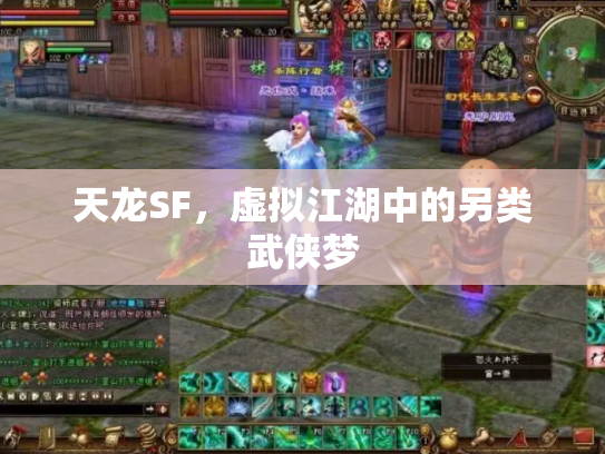 天龙SF，虚拟江湖中的另类武侠梦