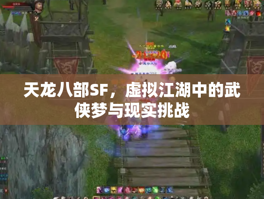 天龙八部SF，虚拟江湖中的武侠梦与现实挑战