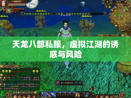 天龙八部私服，虚拟江湖的诱惑与风险