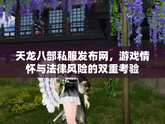 天龙八部私服发布网，游戏情怀与法律风险的双重考验
