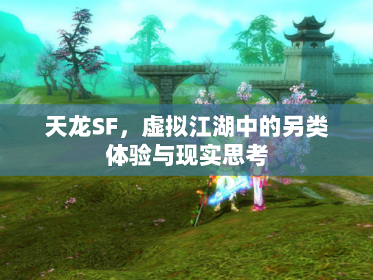 天龙SF，虚拟江湖中的另类体验与现实思考